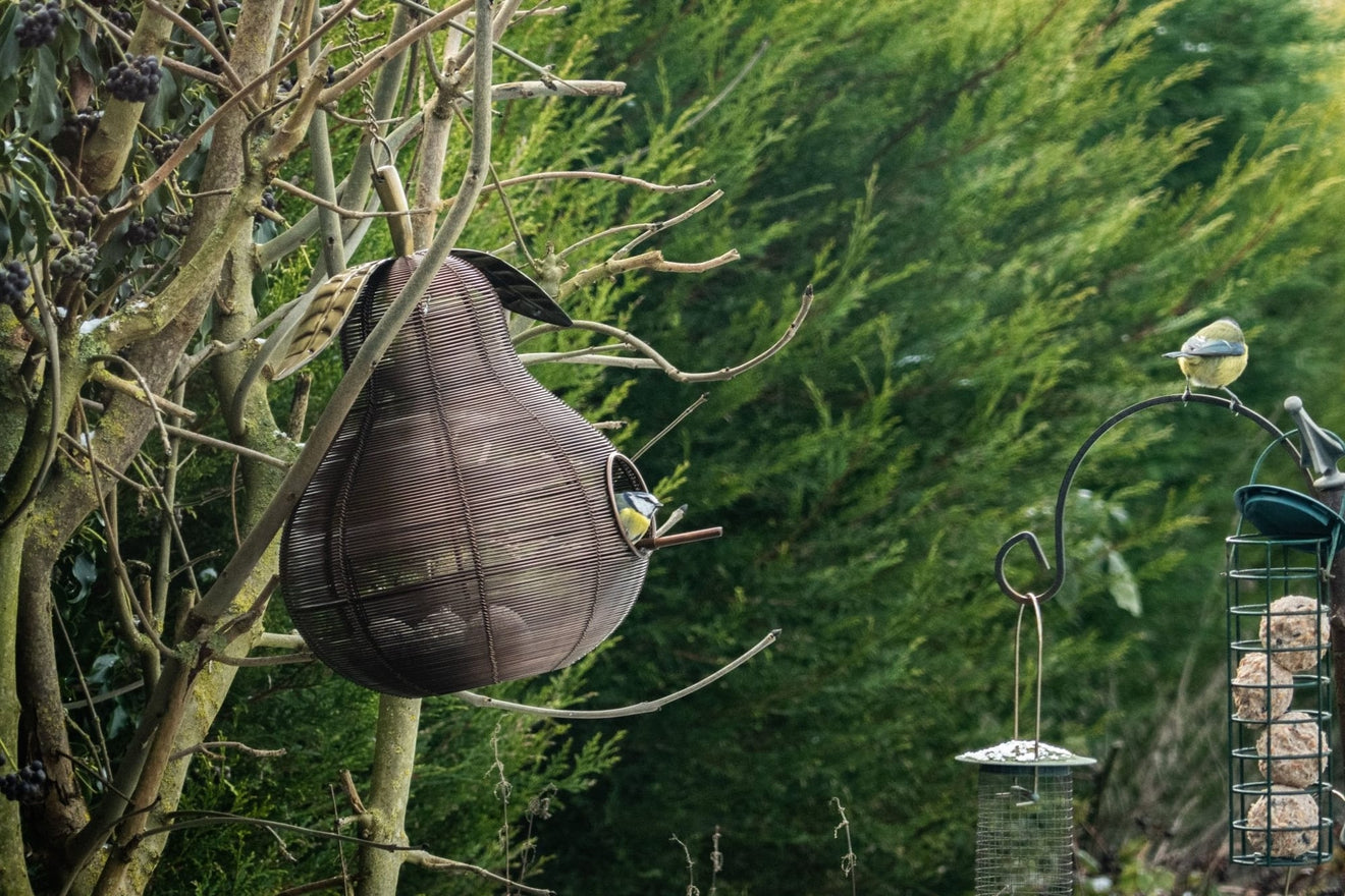 Pear Shaped Copper Bird Feeder - Backyard Bliss