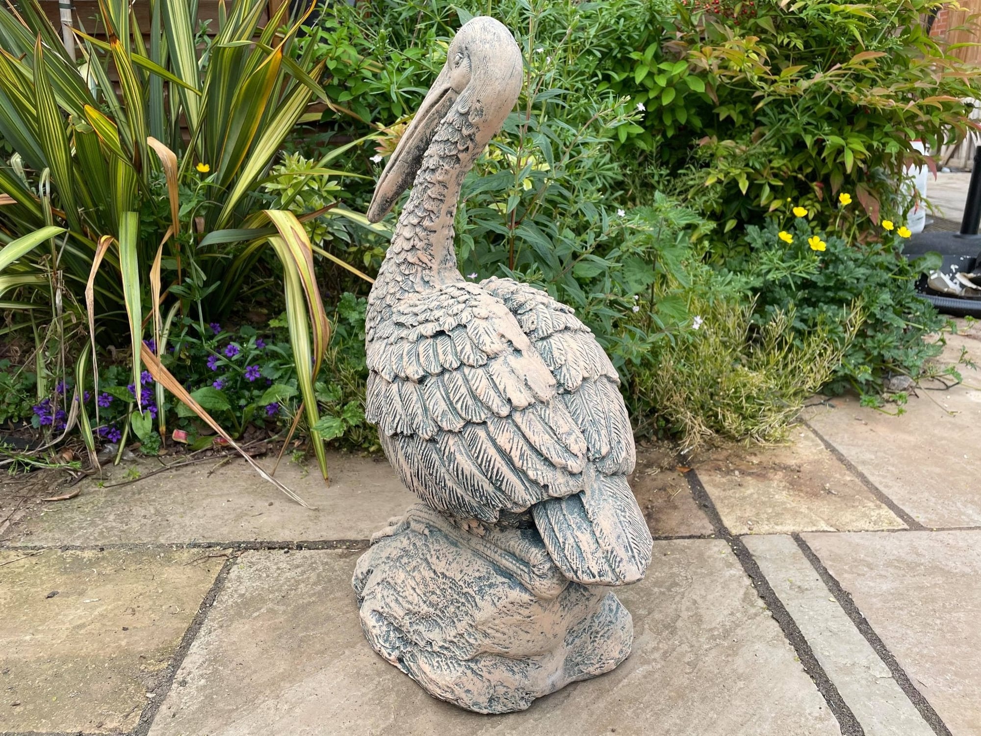 Percy the Pellican - Backyard Bliss