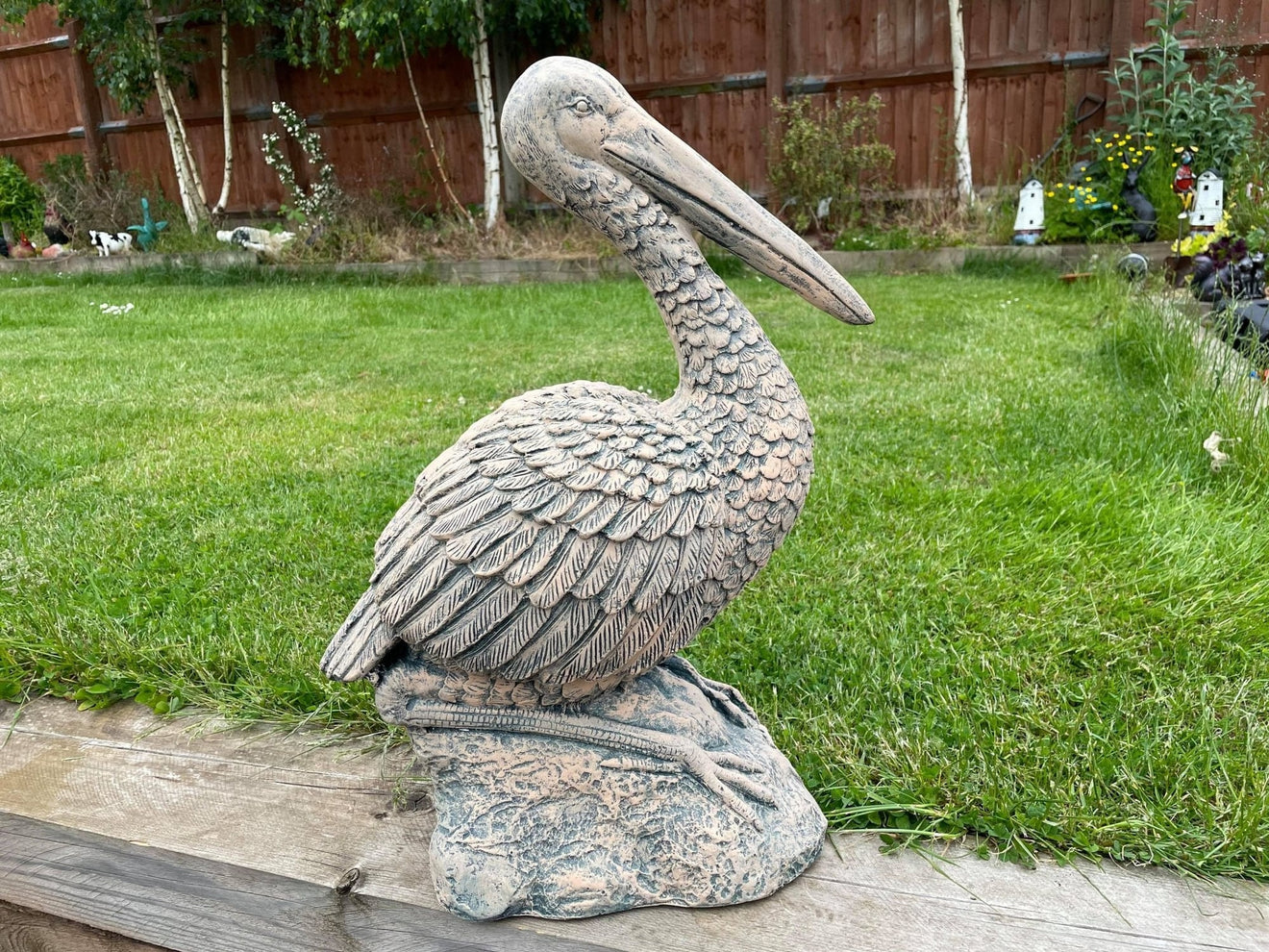 Percy the Pellican - Backyard Bliss