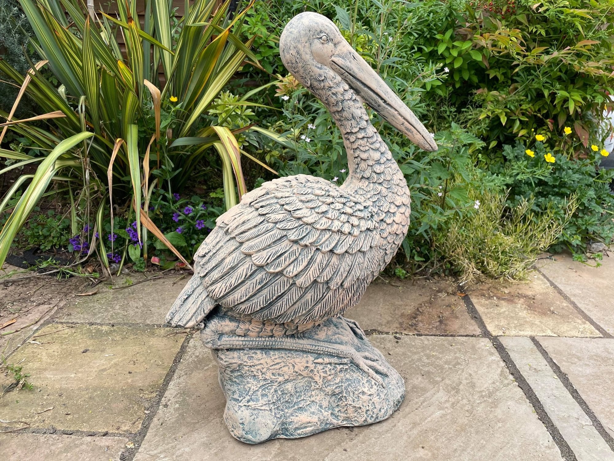 Percy the Pellican - Backyard Bliss