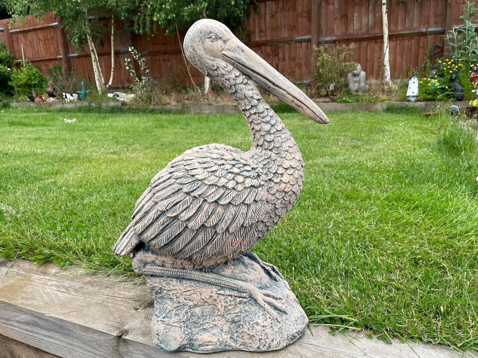 Percy the Pellican - Backyard Bliss
