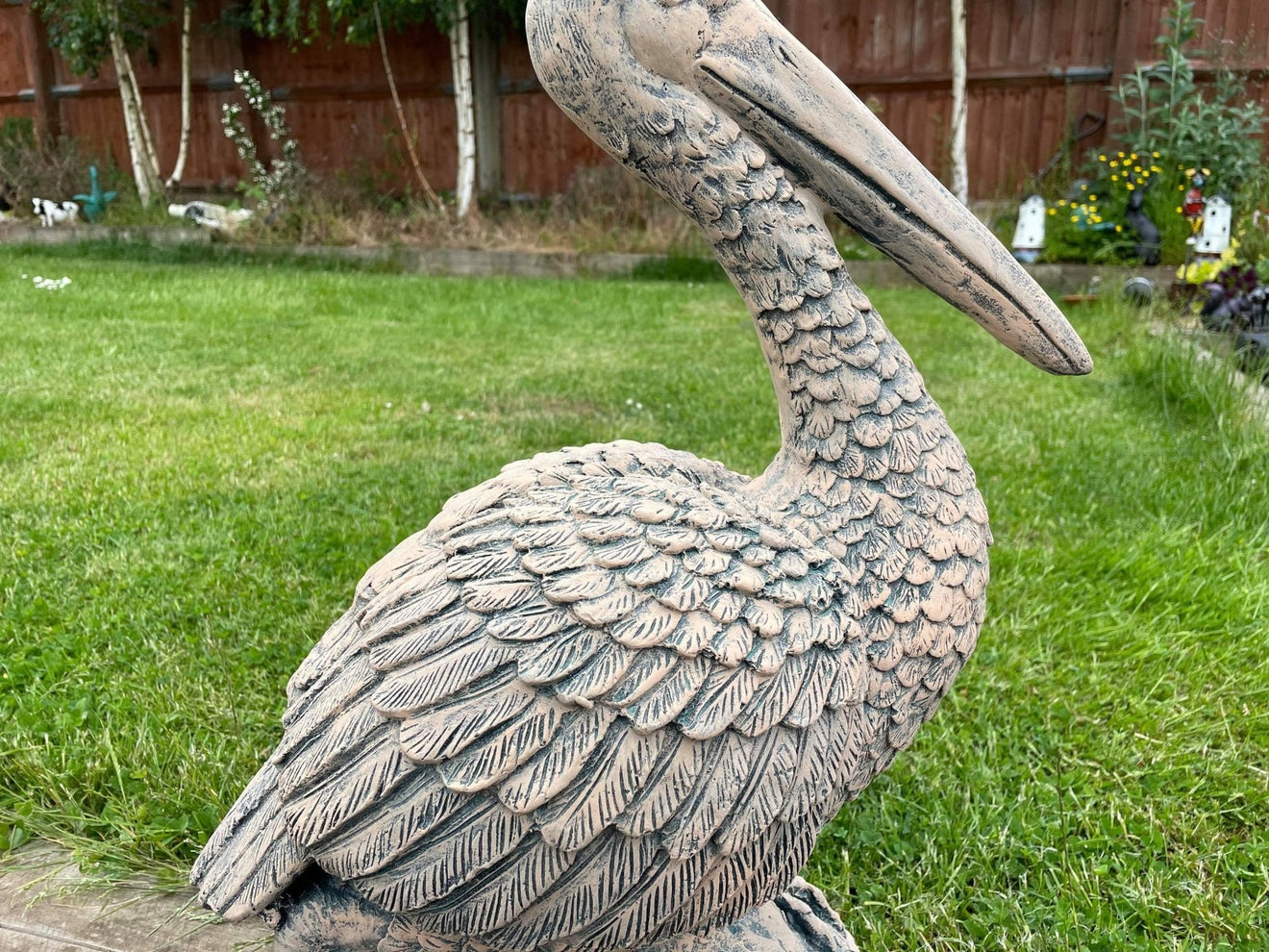 Percy the Pellican - Backyard Bliss