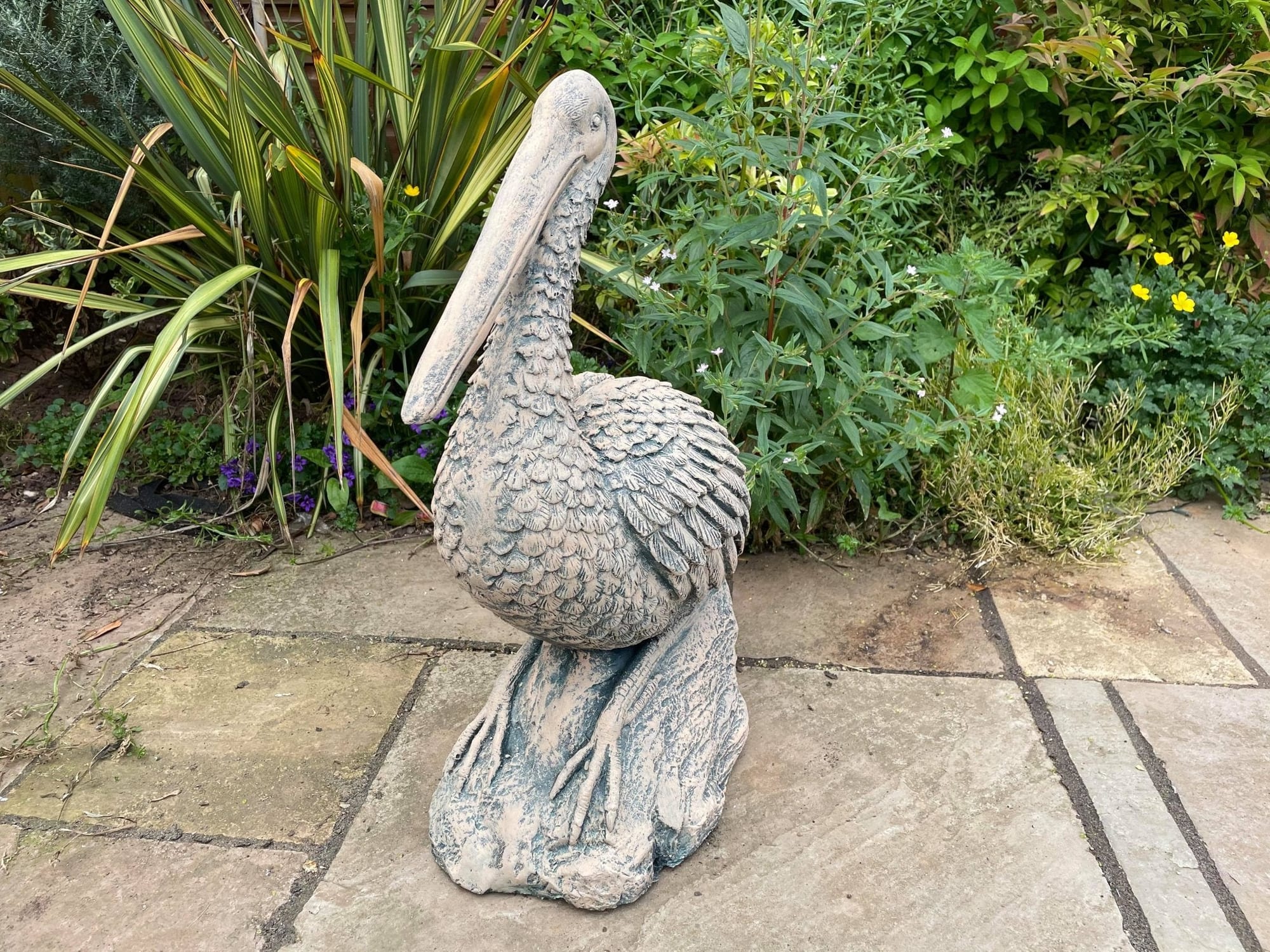 Percy the Pellican - Backyard Bliss