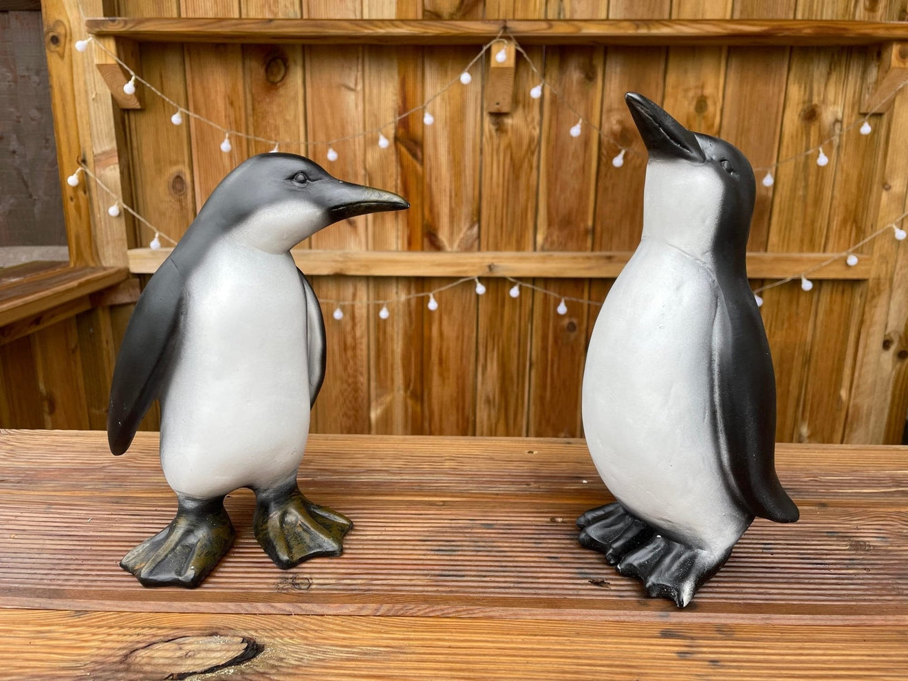 Perky Penguins - Backyard Bliss