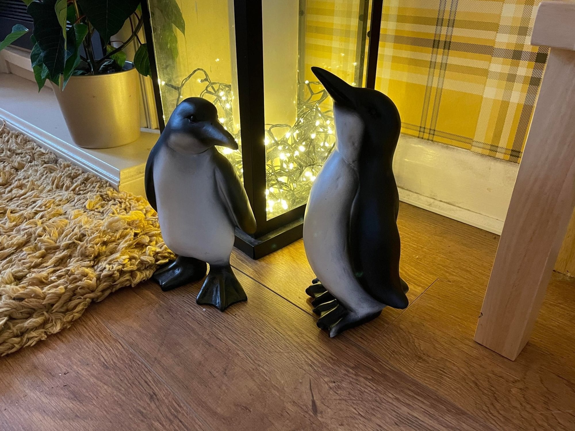 Perky Penguins - Backyard Bliss