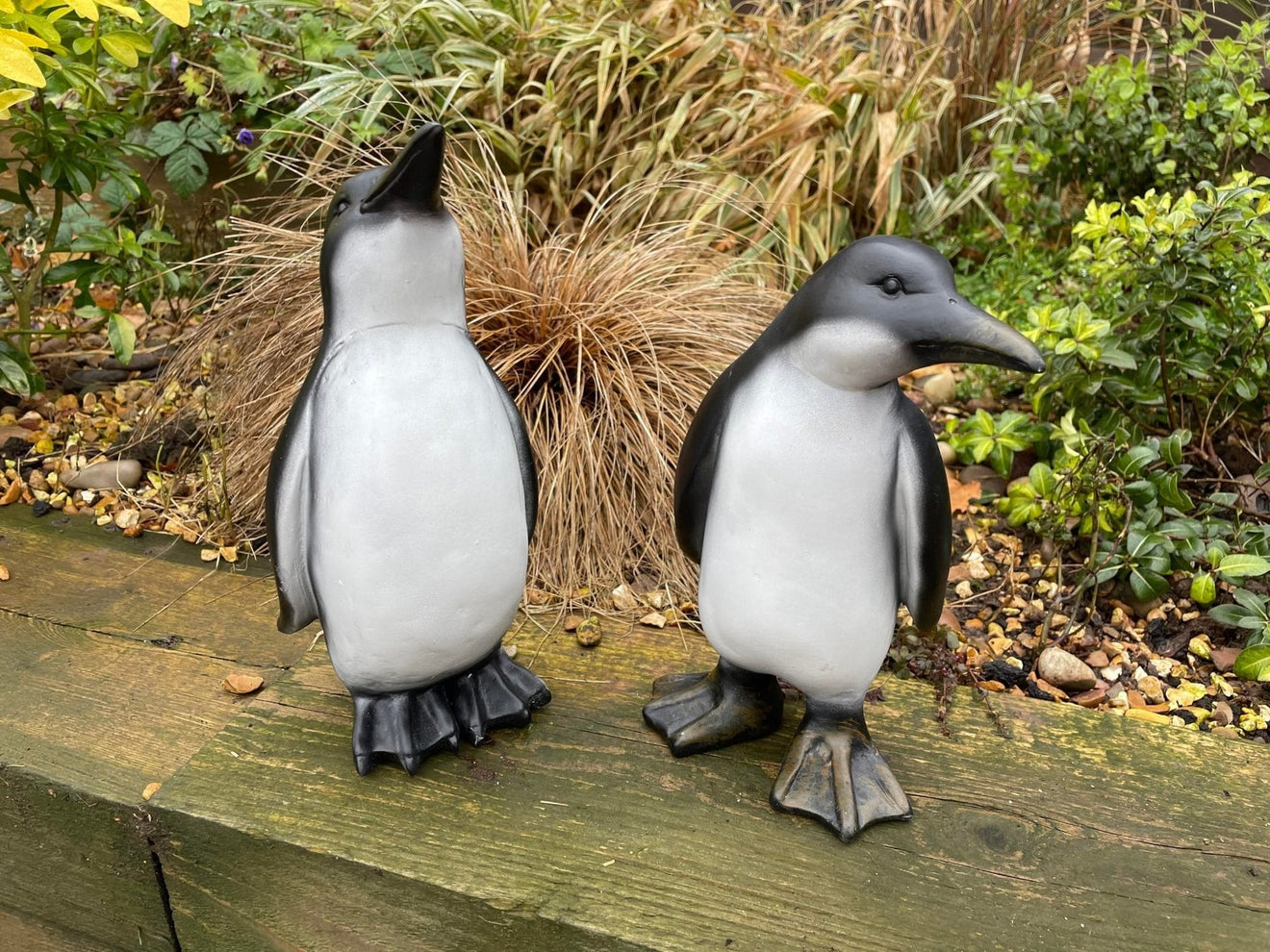 Perky Penguins - Backyard Bliss