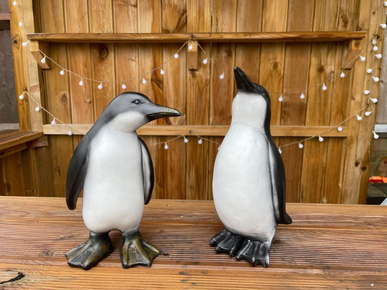 Perky Penguins - Backyard Bliss