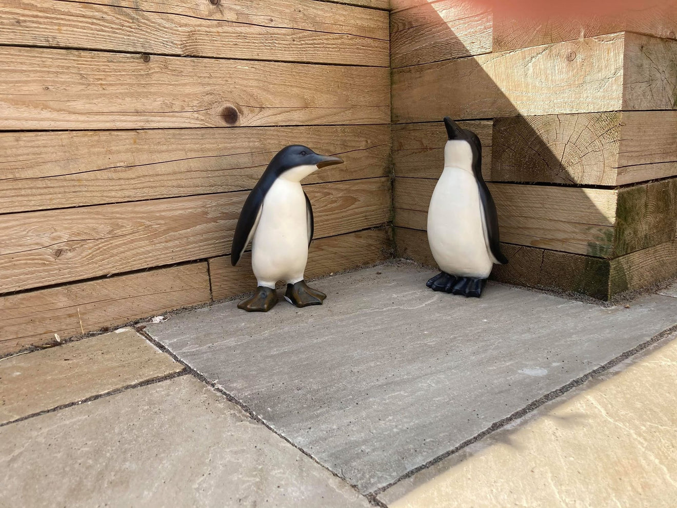 Perky Penguins - Backyard Bliss