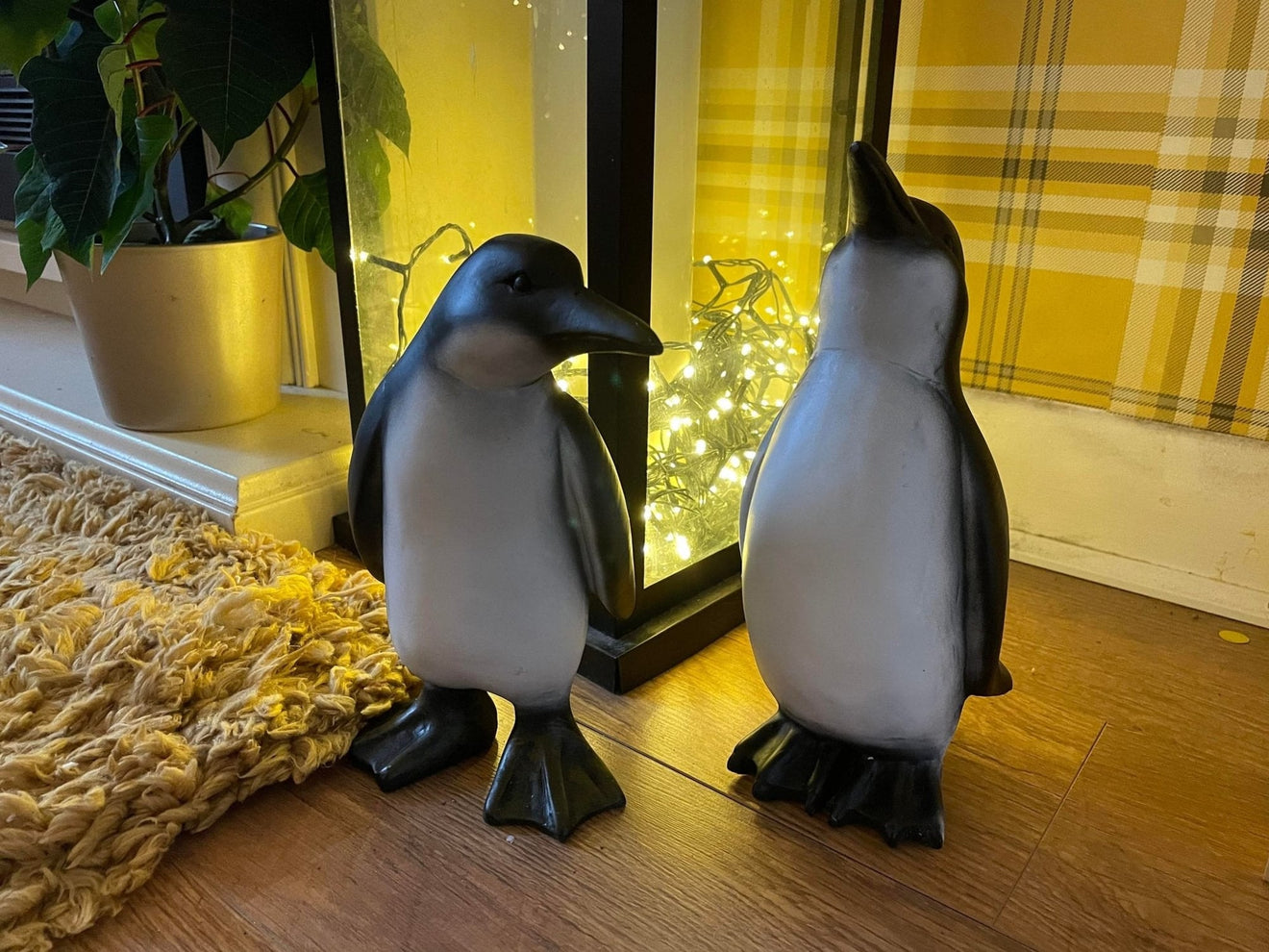 Perky Penguins - Backyard Bliss