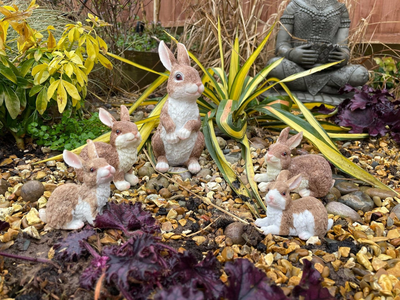 Rambunctious Rabbit Family - Backyard Bliss