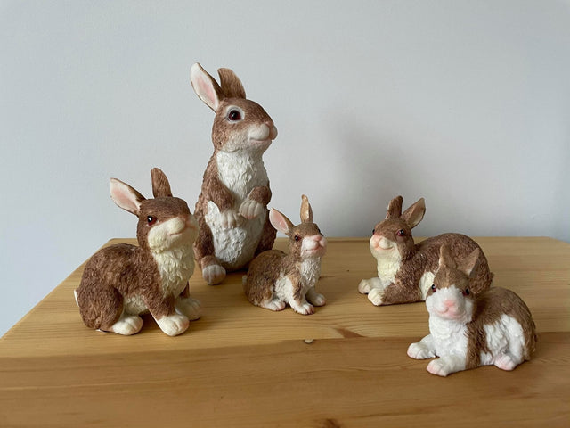 Rambunctious Rabbit Family - Backyard Bliss