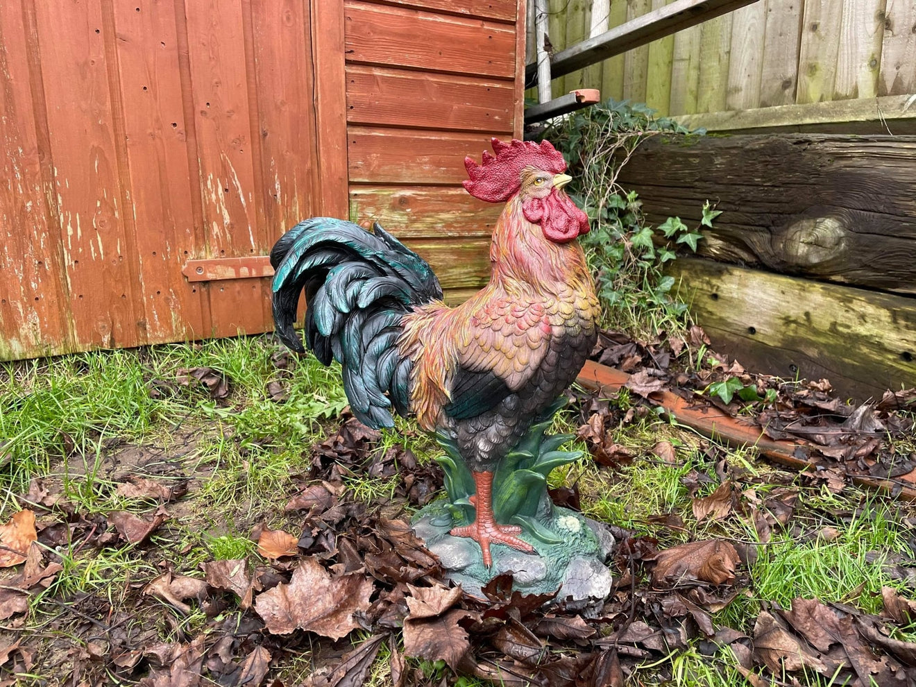 Rascally Rooster - Backyard Bliss