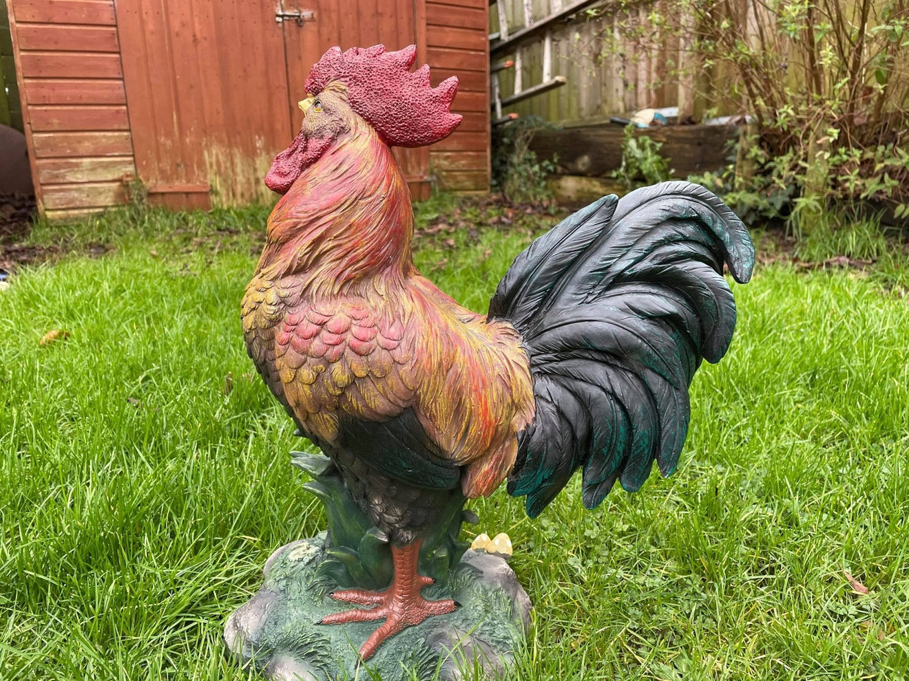 Rascally Rooster - Backyard Bliss
