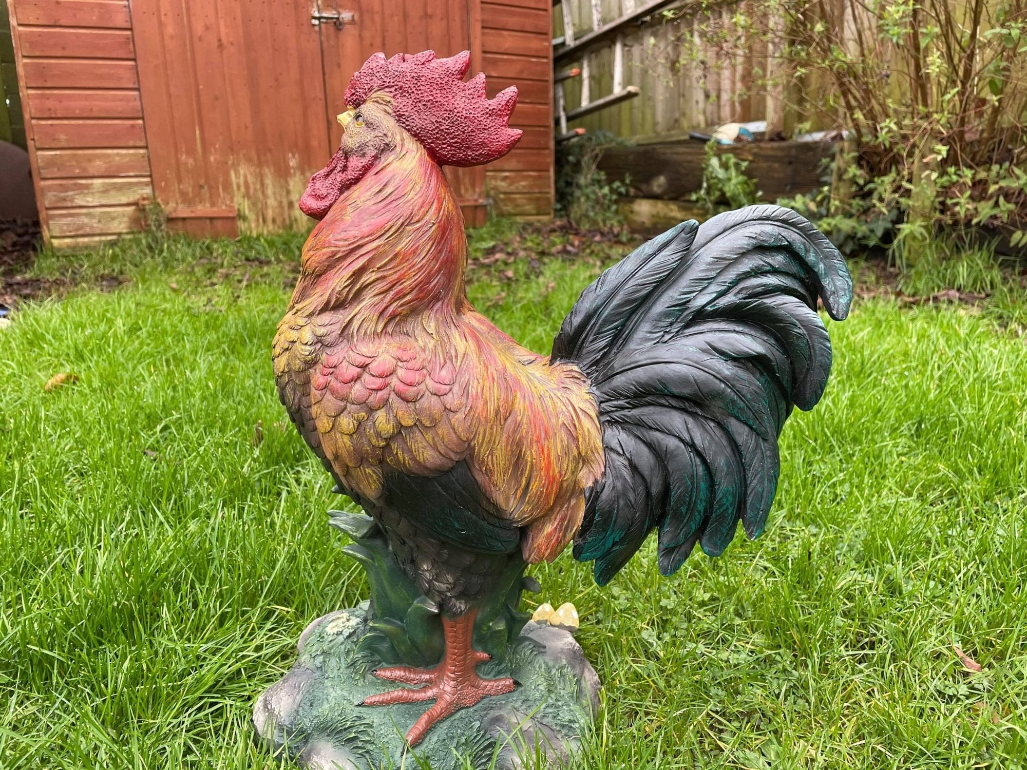Rascally Rooster - Backyard Bliss