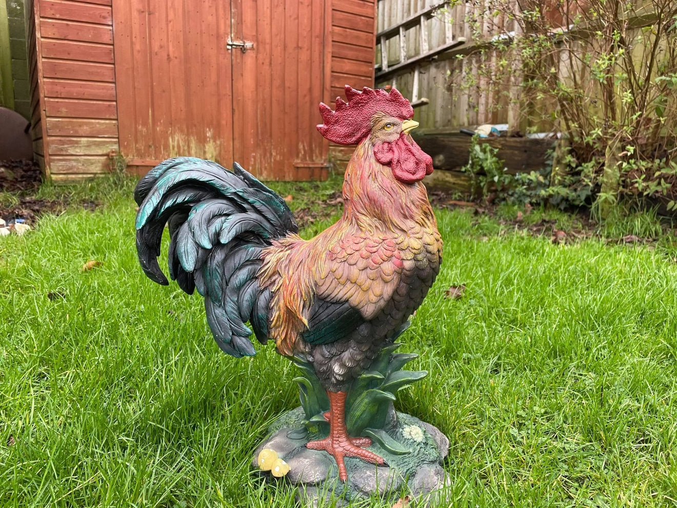Rascally Rooster - Backyard Bliss