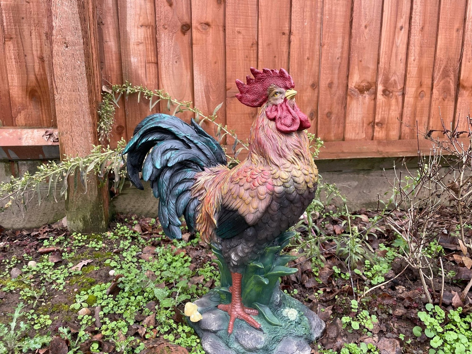 Rascally Rooster - Backyard Bliss
