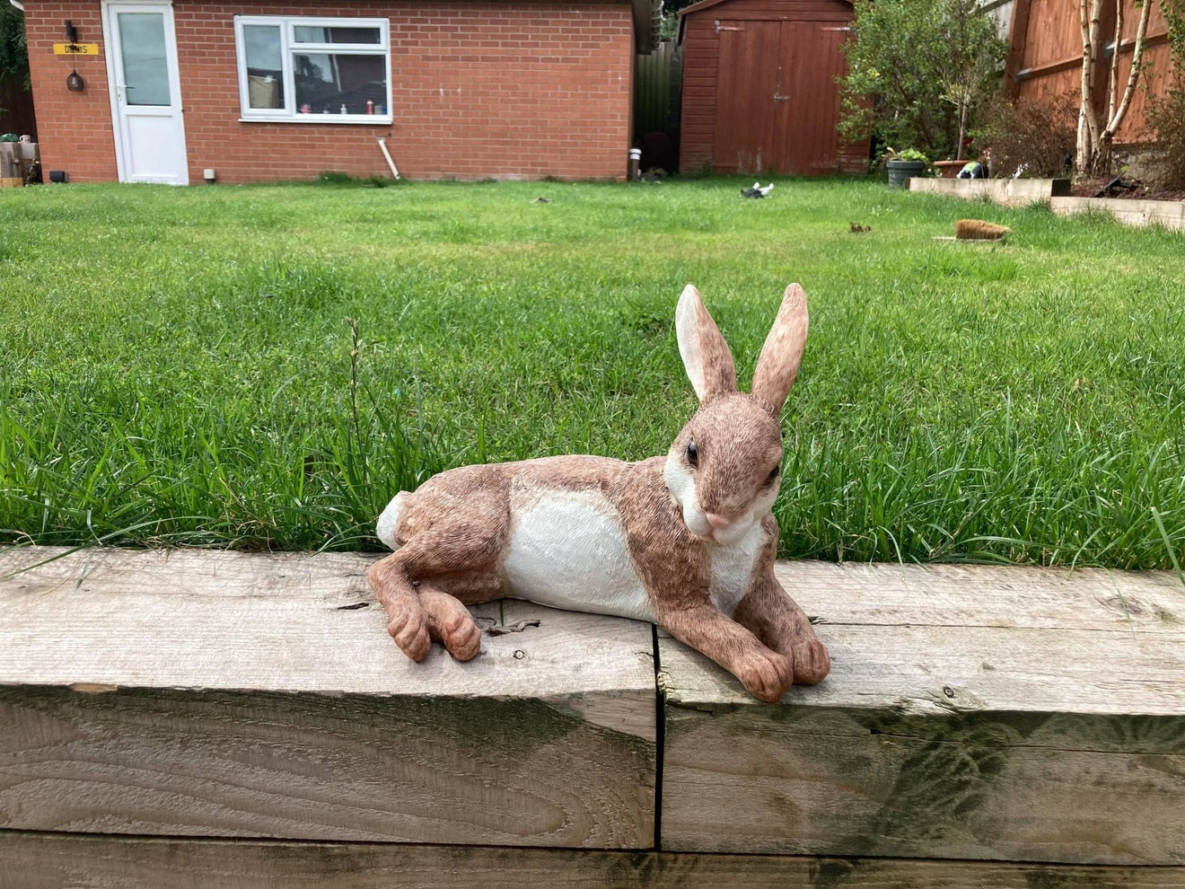 Relaxing Rabbit - Backyard Bliss
