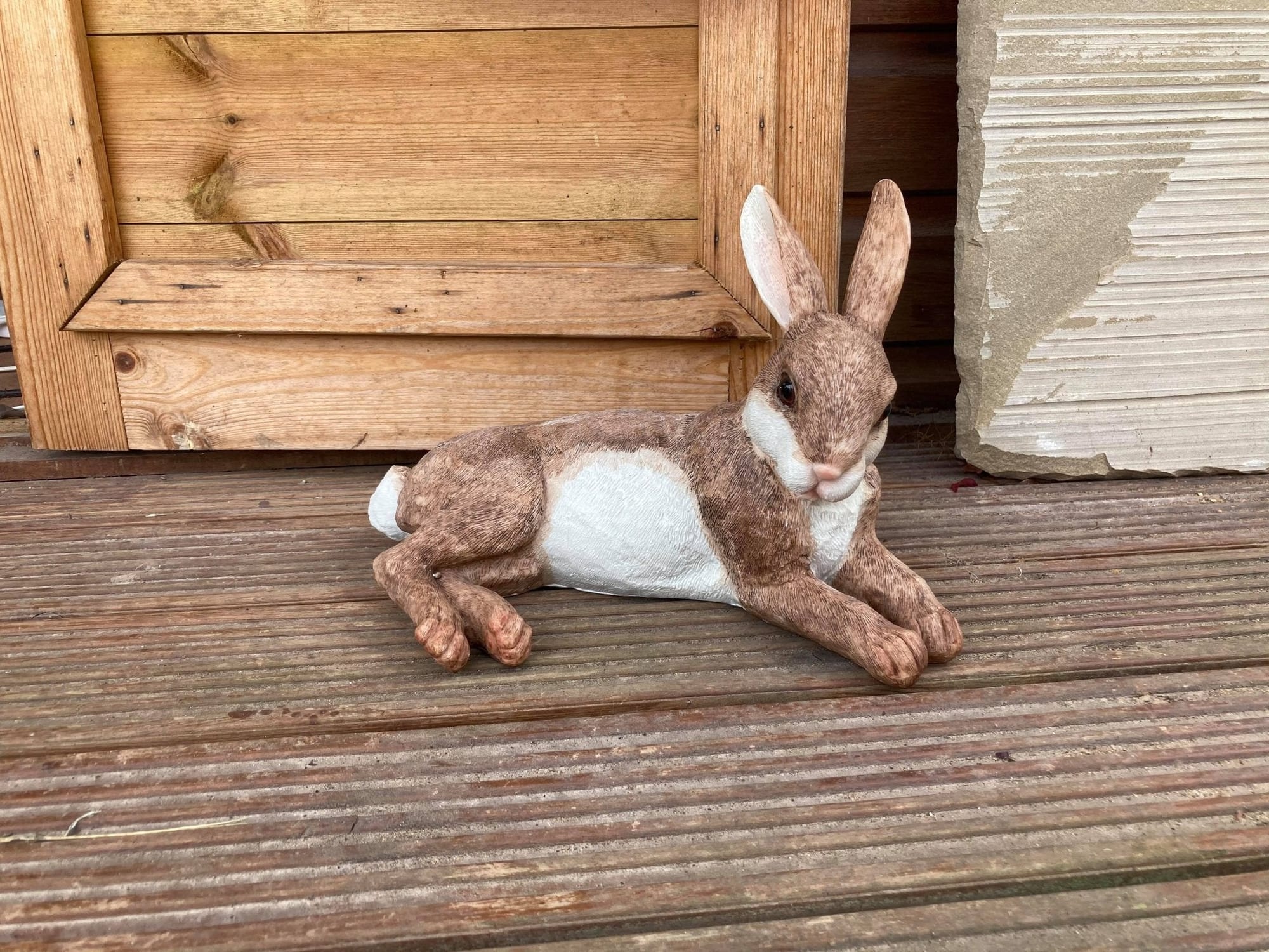 Relaxing Rabbit - Backyard Bliss