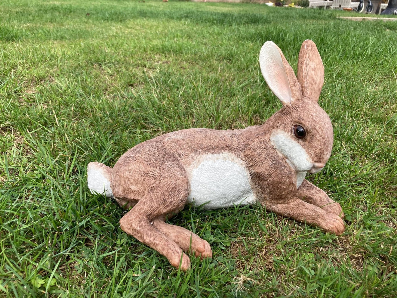 Relaxing Rabbit - Backyard Bliss