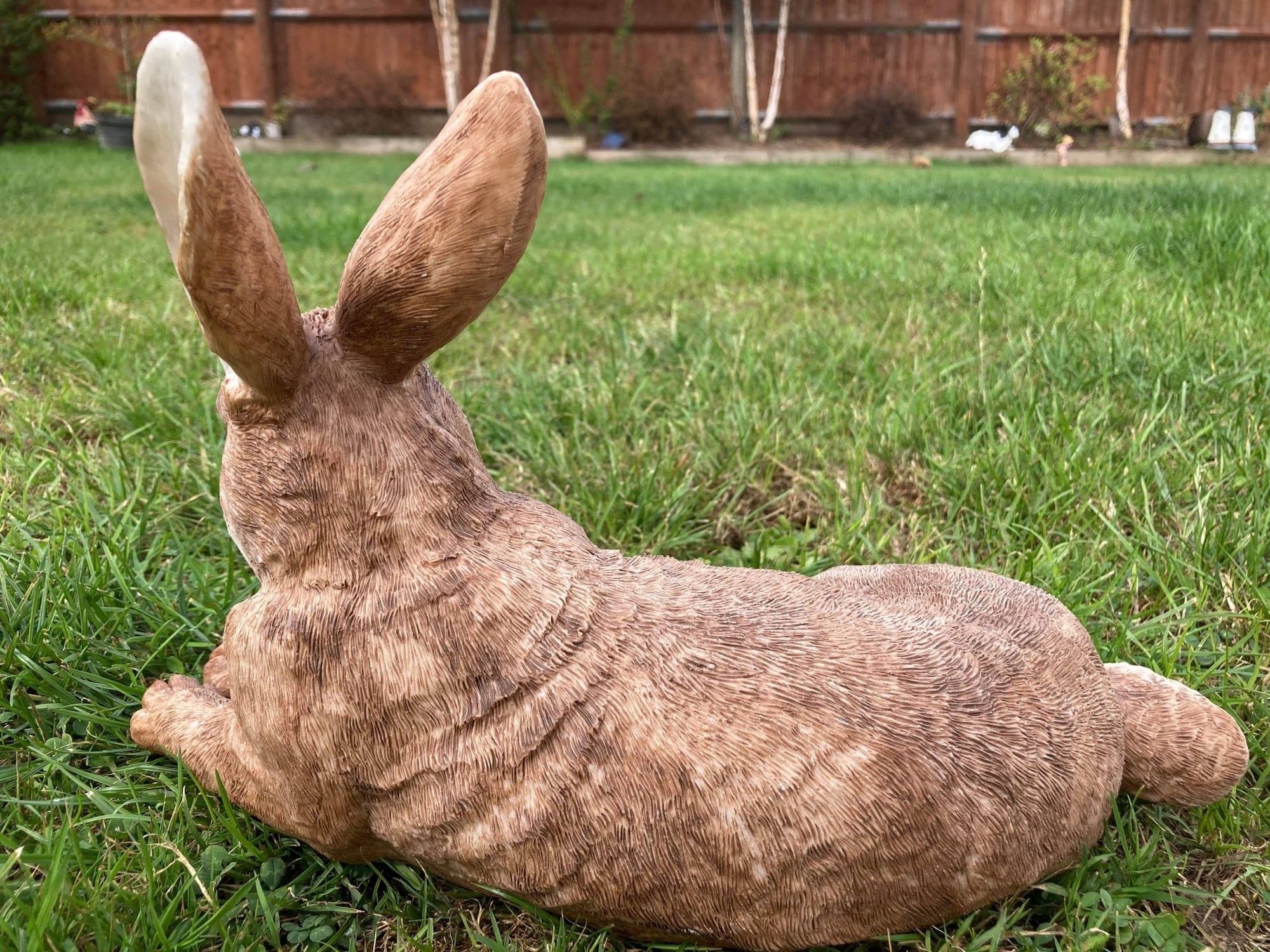 Relaxing Rabbit - Backyard Bliss