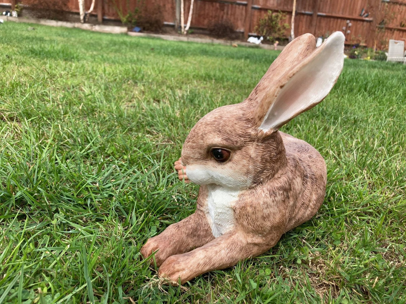 Relaxing Rabbit - Backyard Bliss