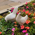 Rustic Roosters Garden Ornament Set