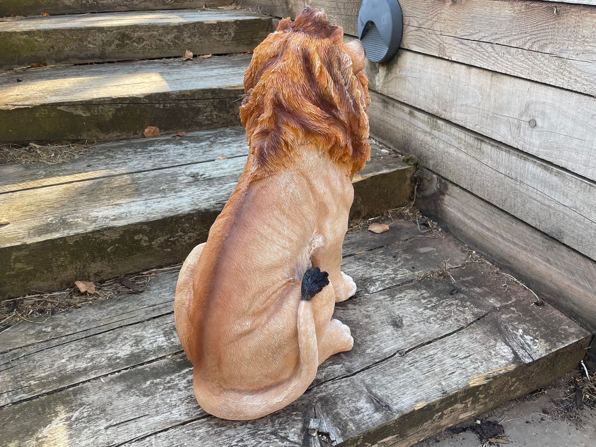 Sitting Lion - Backyard Bliss