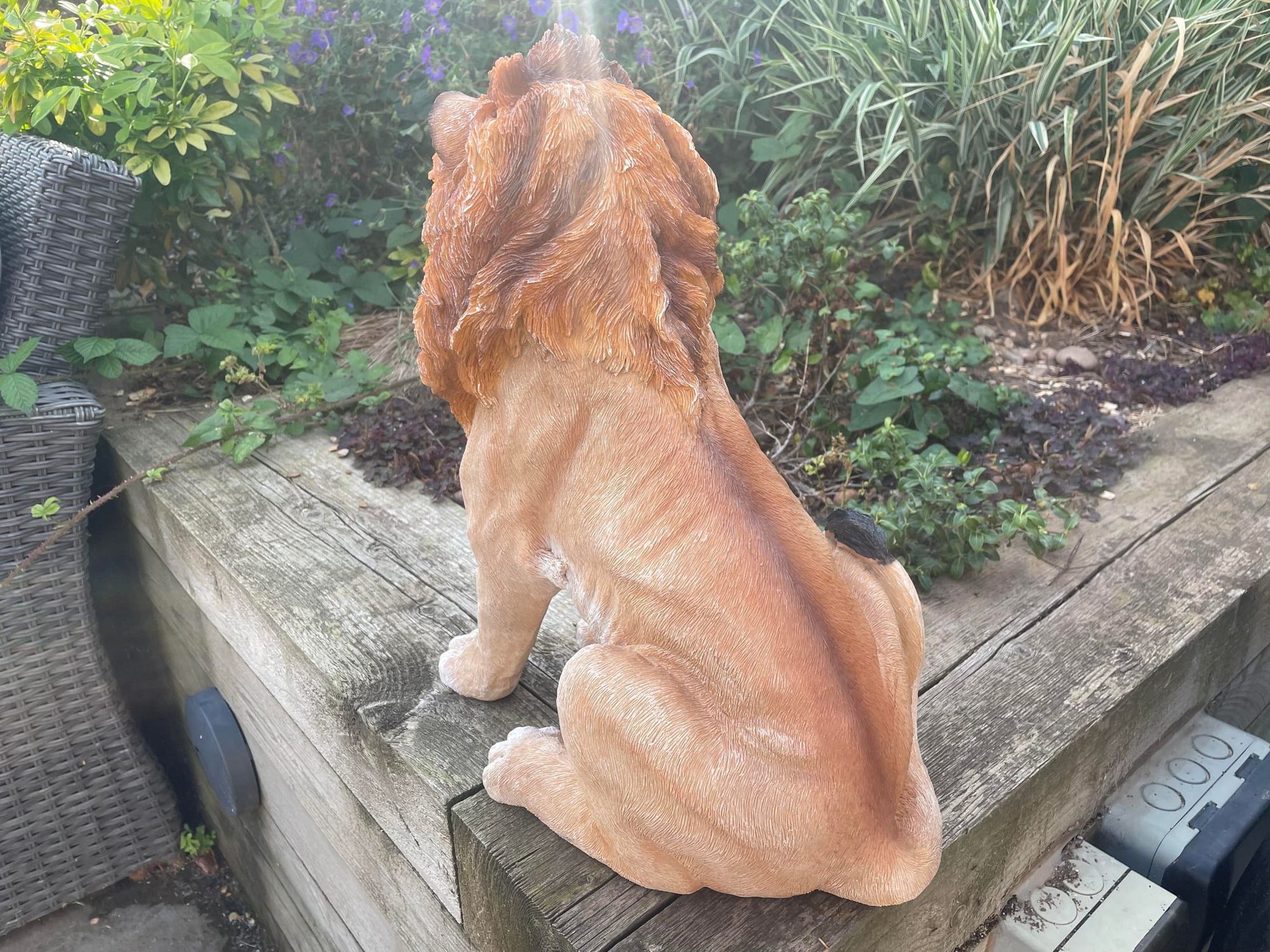Sitting Lion - Backyard Bliss