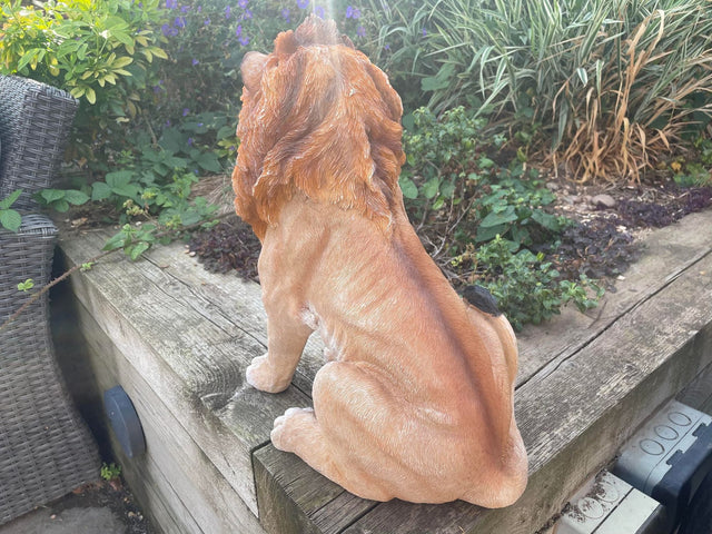 Sitting Lion - Backyard Bliss