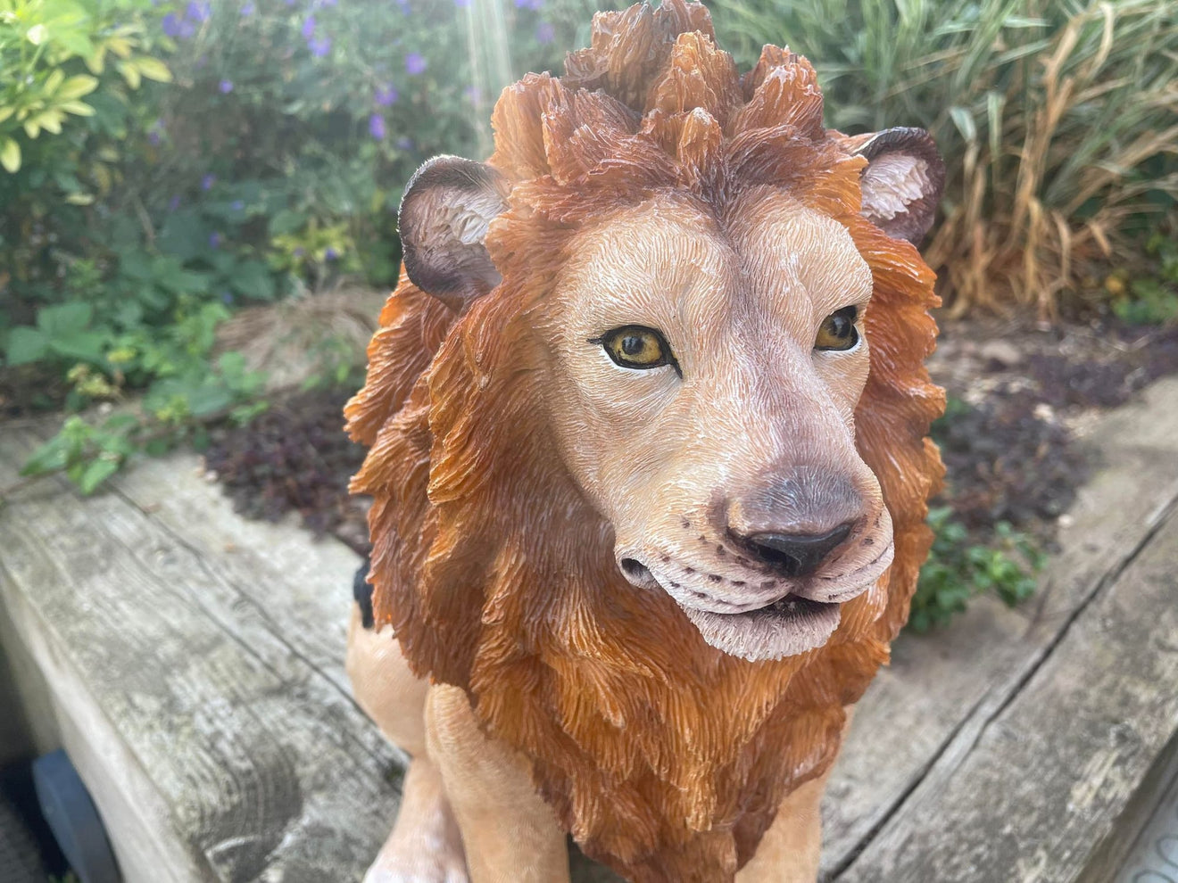 Sitting Lion - Backyard Bliss