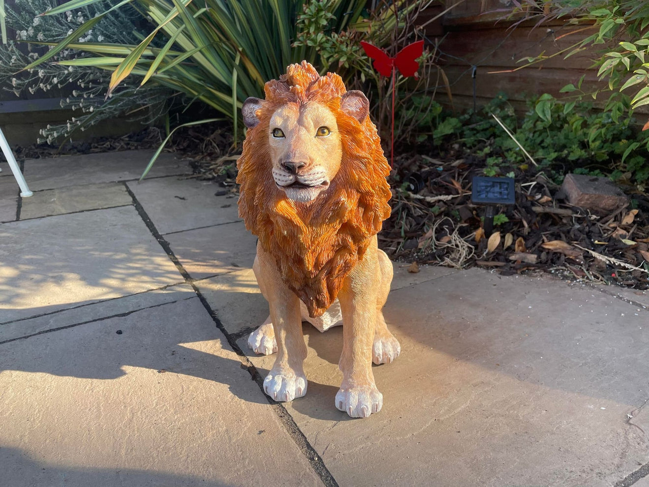 Sitting Lion - Backyard Bliss