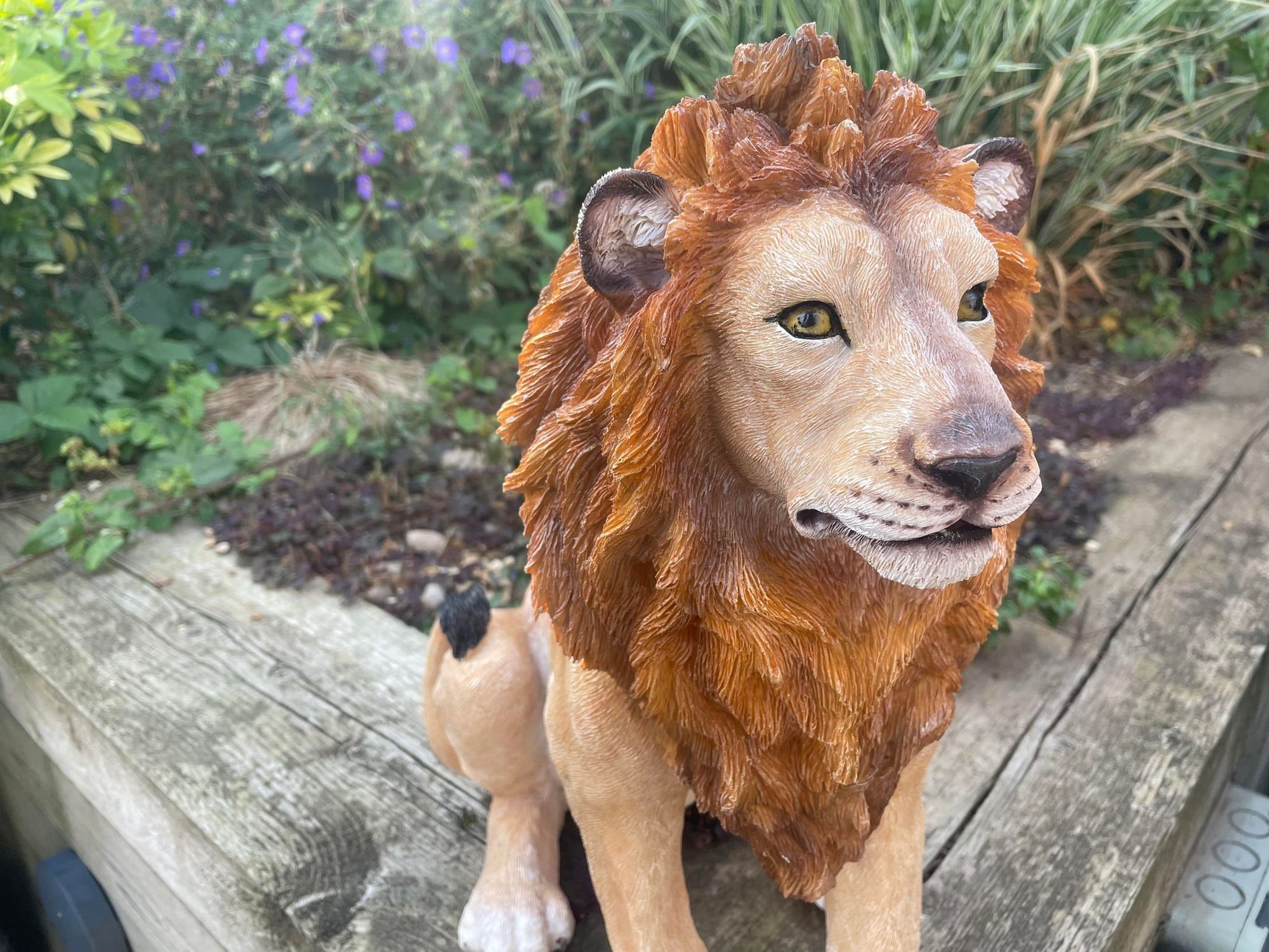Sitting Lion - Backyard Bliss