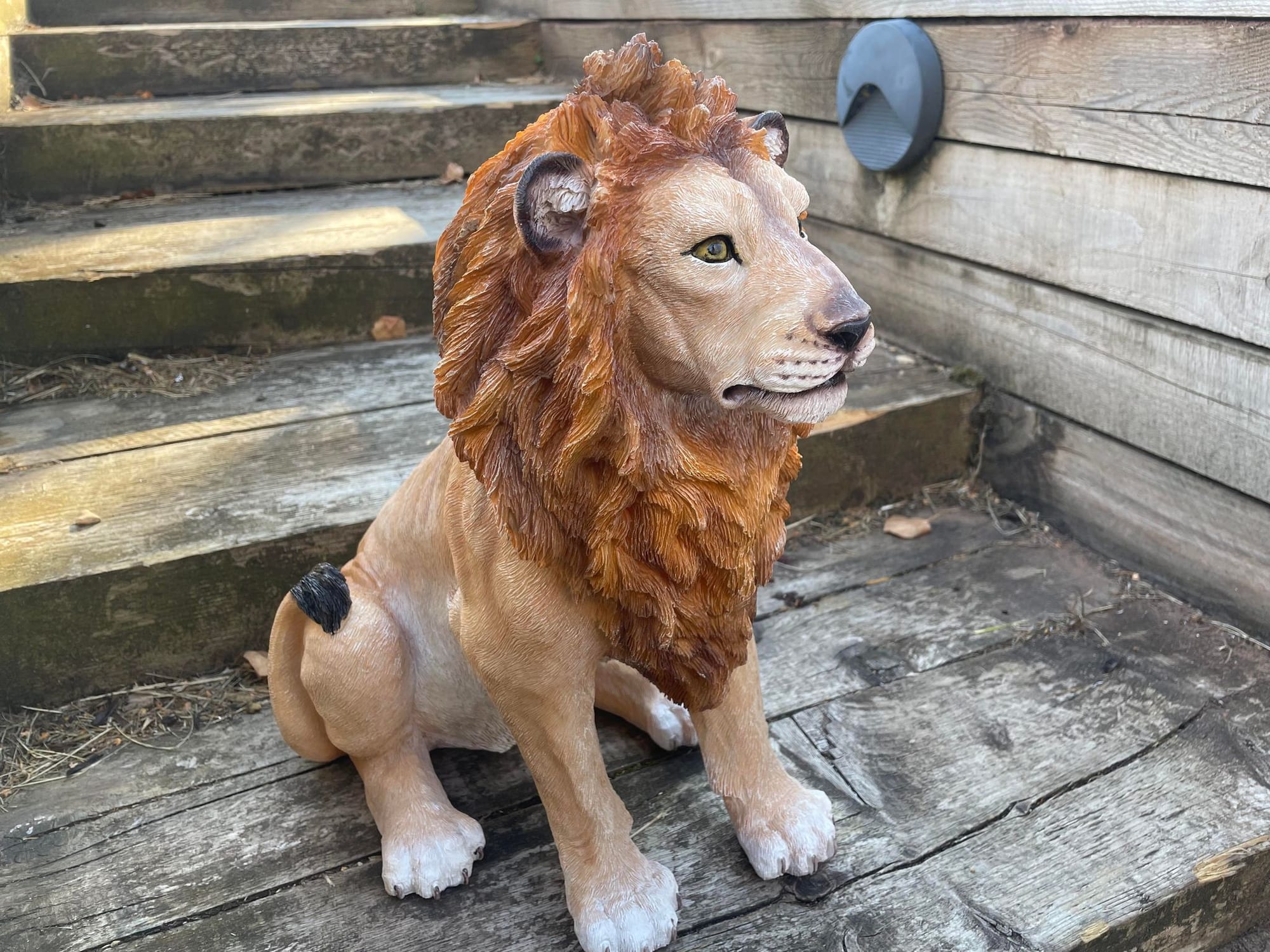 Sitting Lion - Backyard Bliss