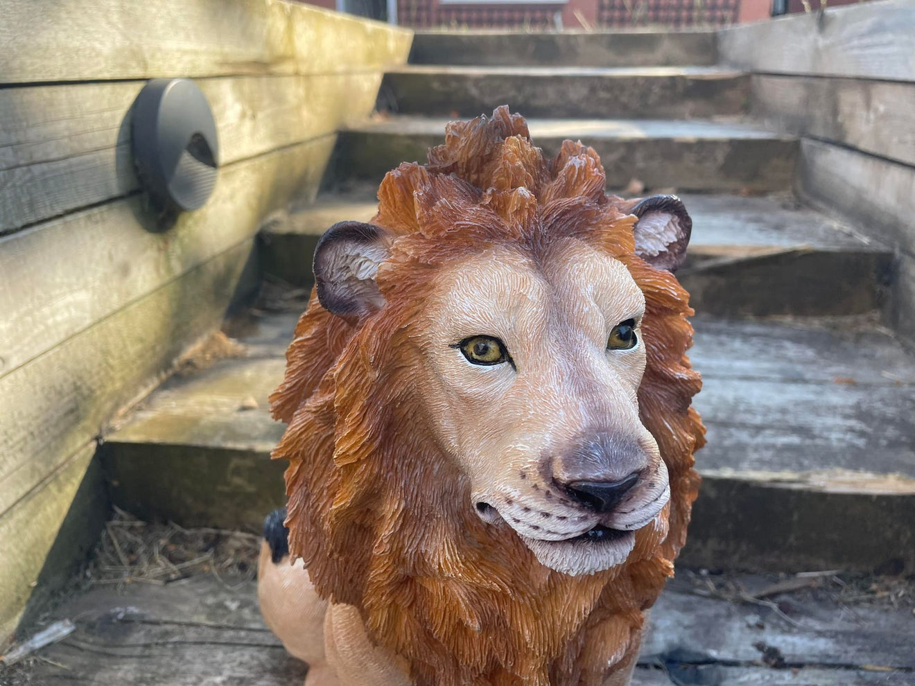 Sitting Lion - Backyard Bliss