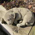 Sleeping Dog | Garden Statue