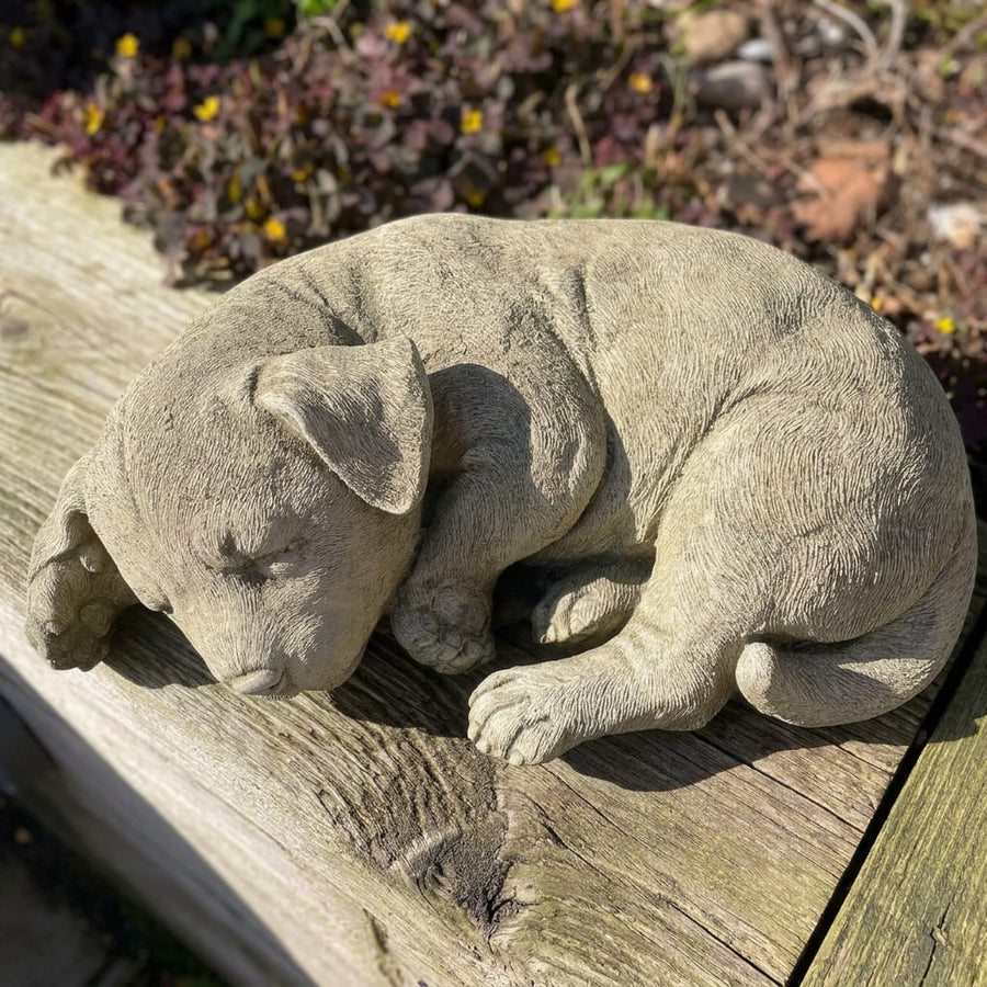 Sleeping Dog | Garden Statue