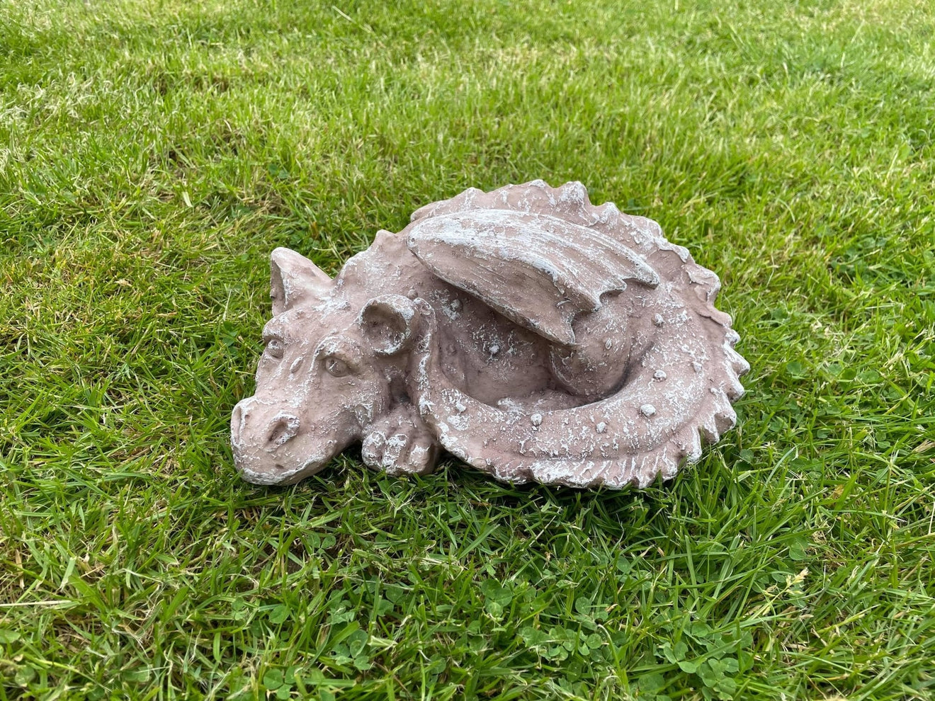 Sleeping Dragon - Backyard Bliss