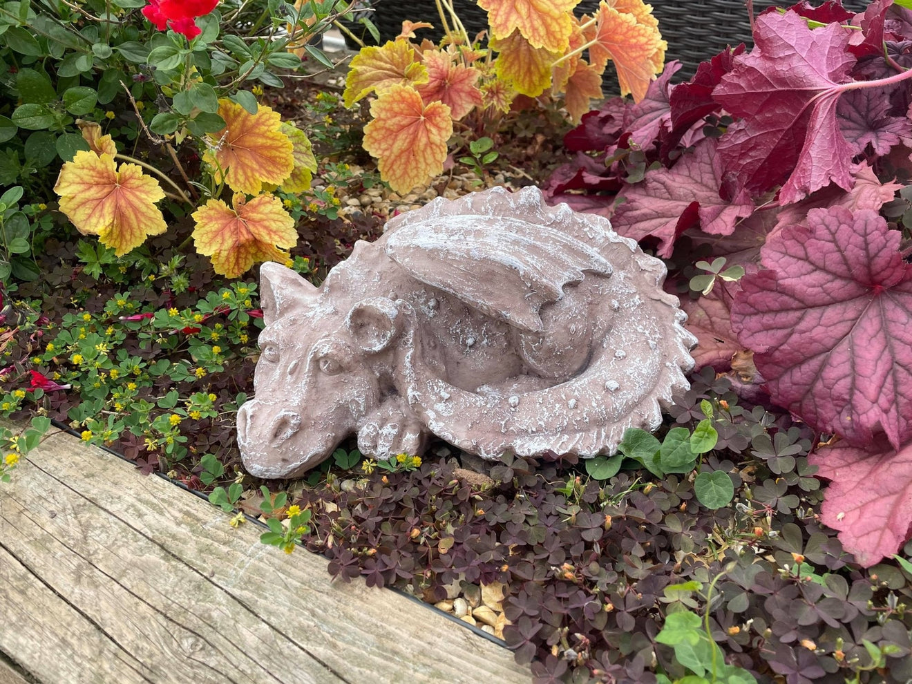 Sleeping Dragon - Backyard Bliss