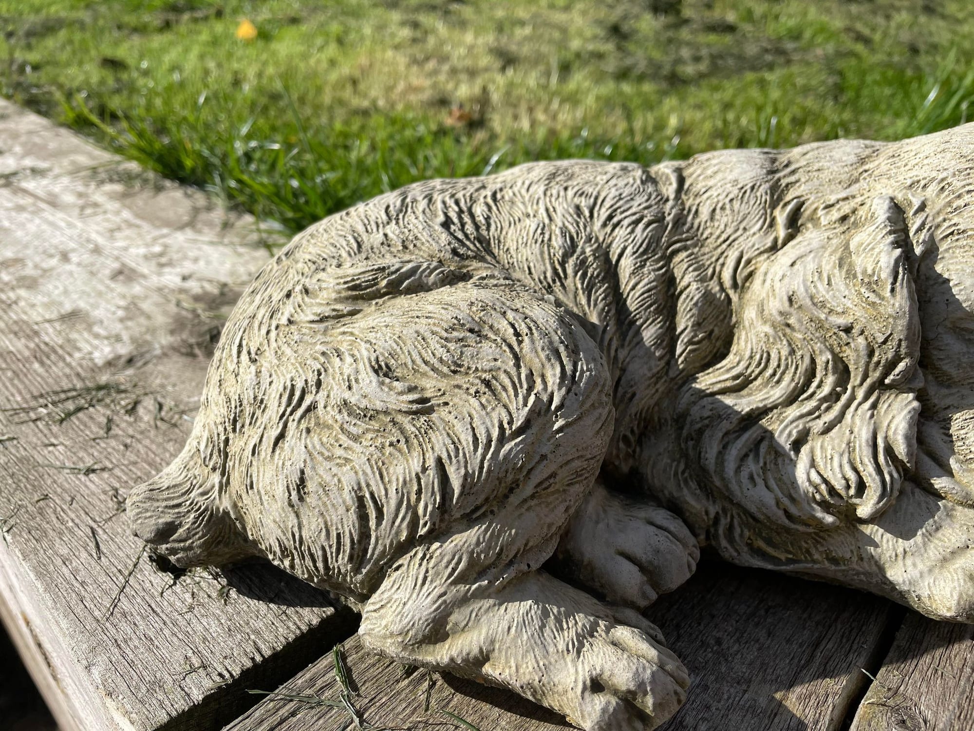 Sleeping Spaniel - Backyard Bliss