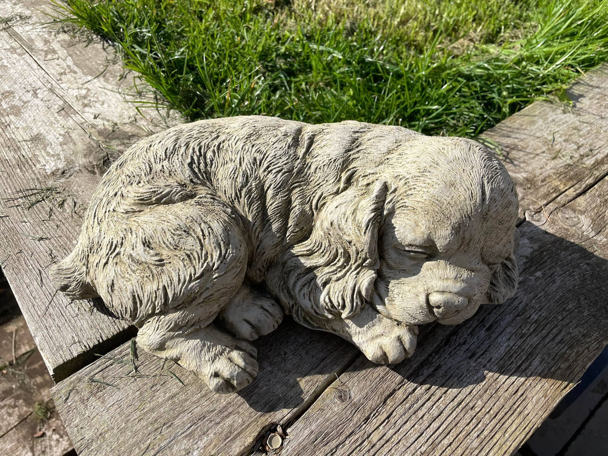 Sleeping Spaniel - Backyard Bliss