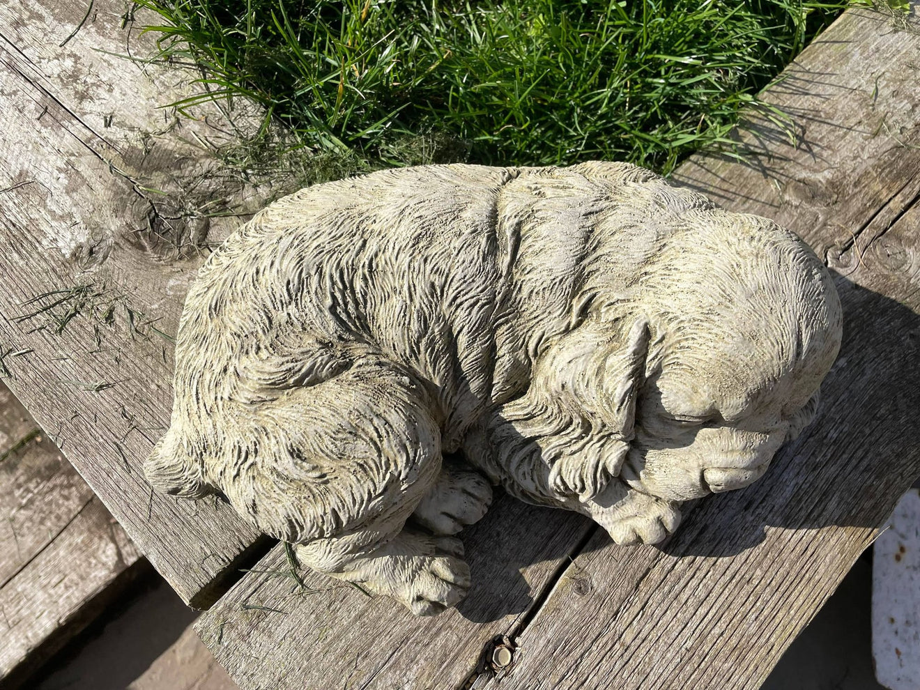Sleeping Spaniel - Backyard Bliss