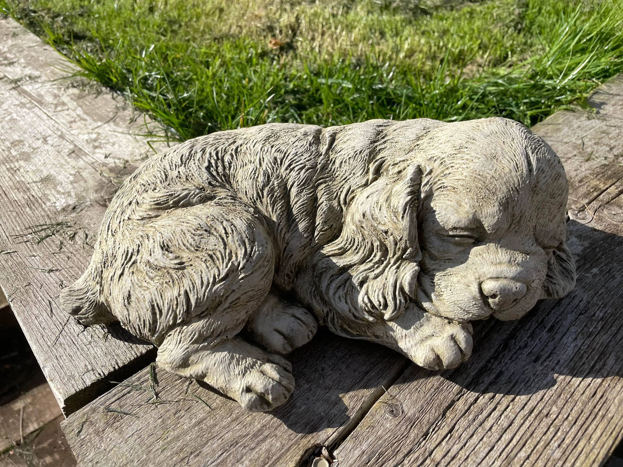 Sleeping Spaniel - Backyard Bliss