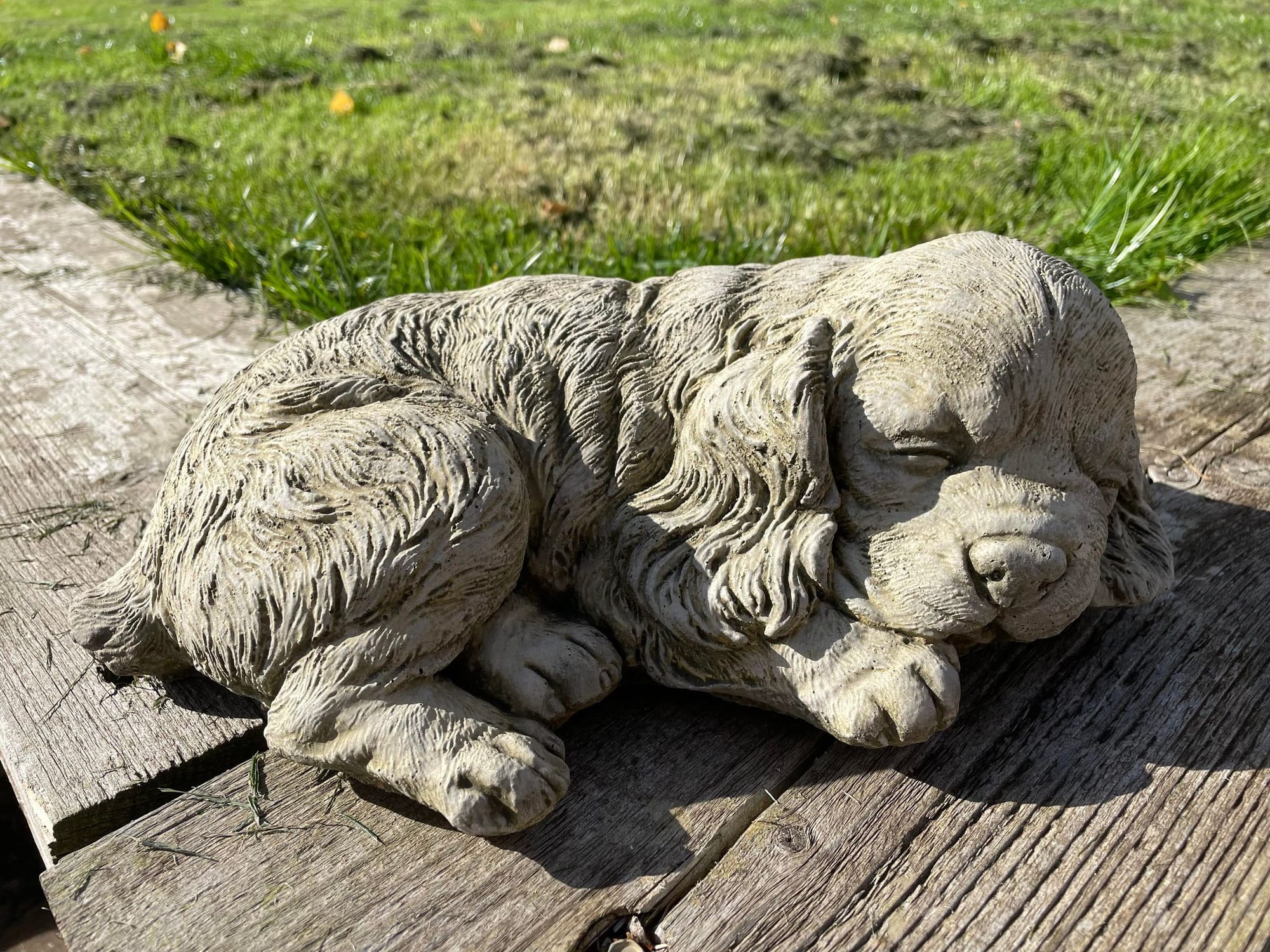 Sleeping Spaniel - Backyard Bliss