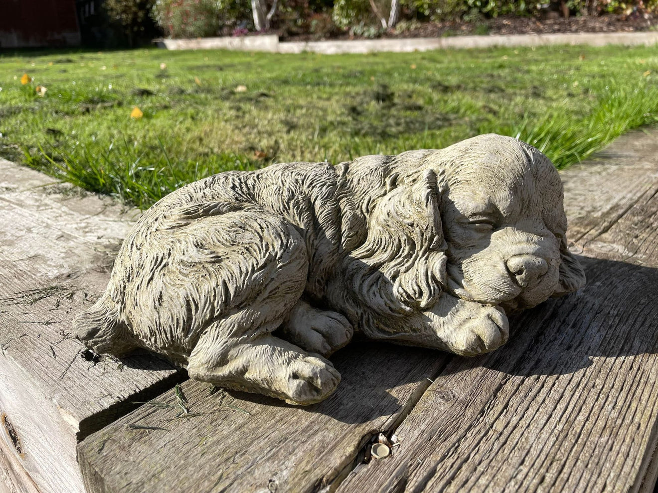 Sleeping Spaniel - Backyard Bliss