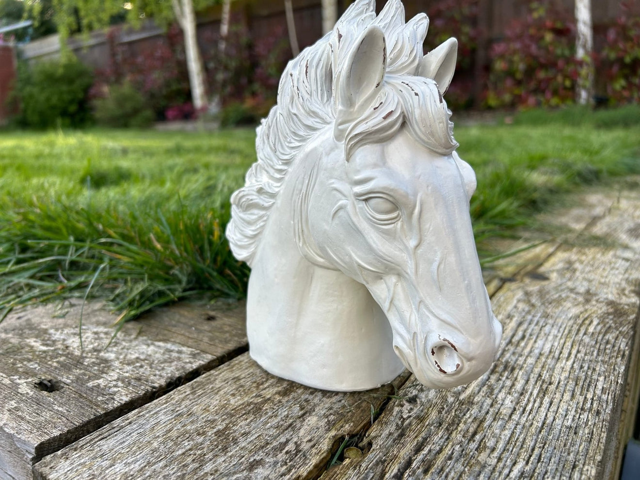 Stallion Heads - Backyard Bliss