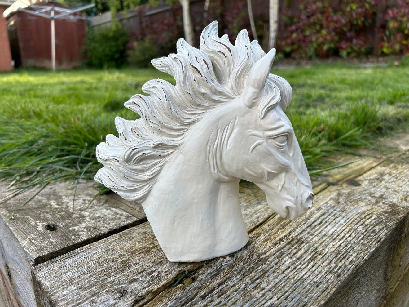Stallion Heads - Backyard Bliss