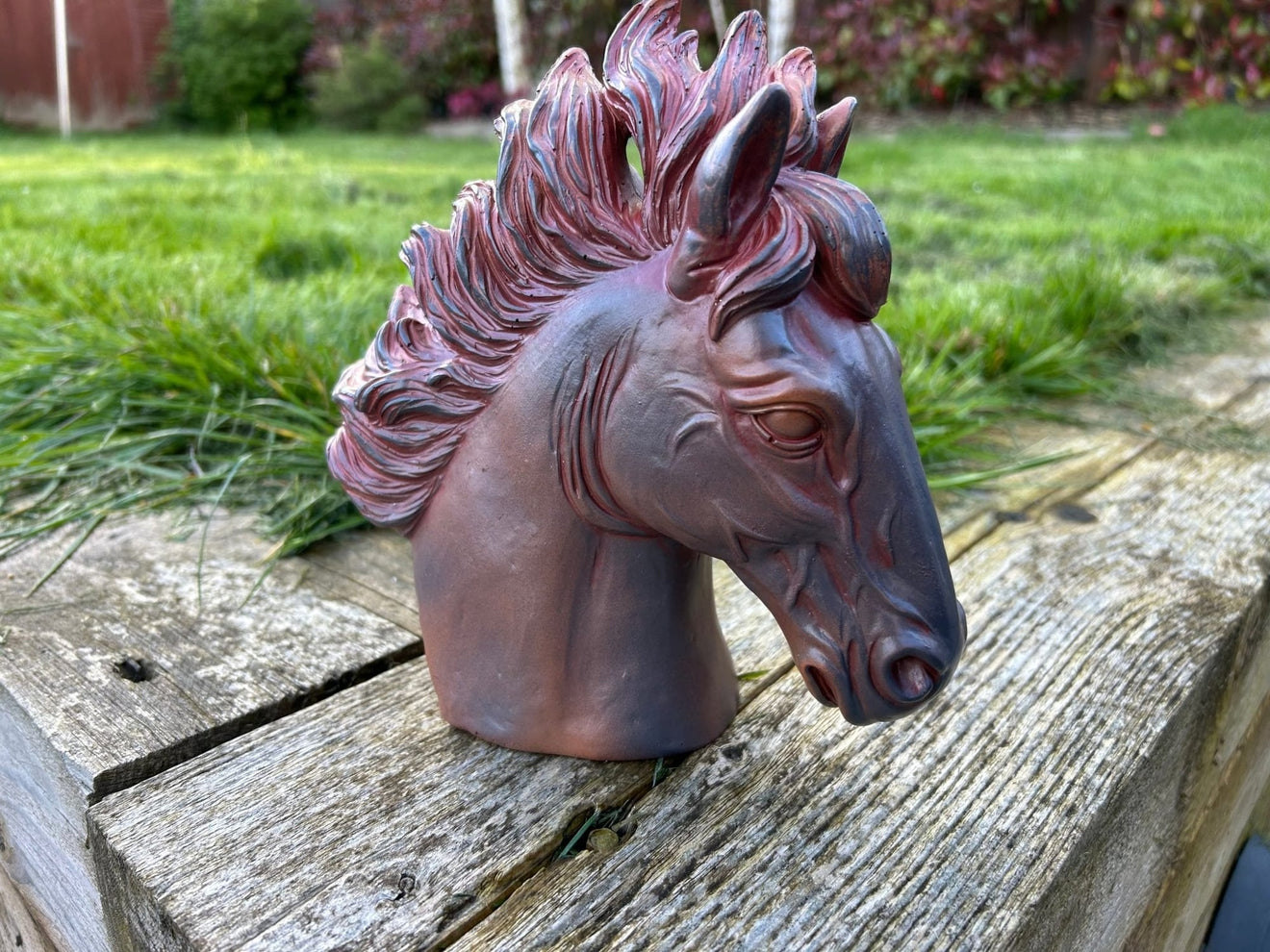Stallion Heads - Backyard Bliss