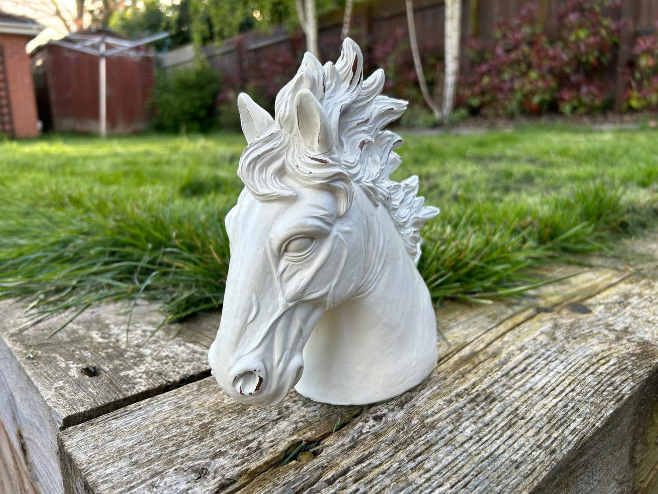 Stallion Heads - Backyard Bliss