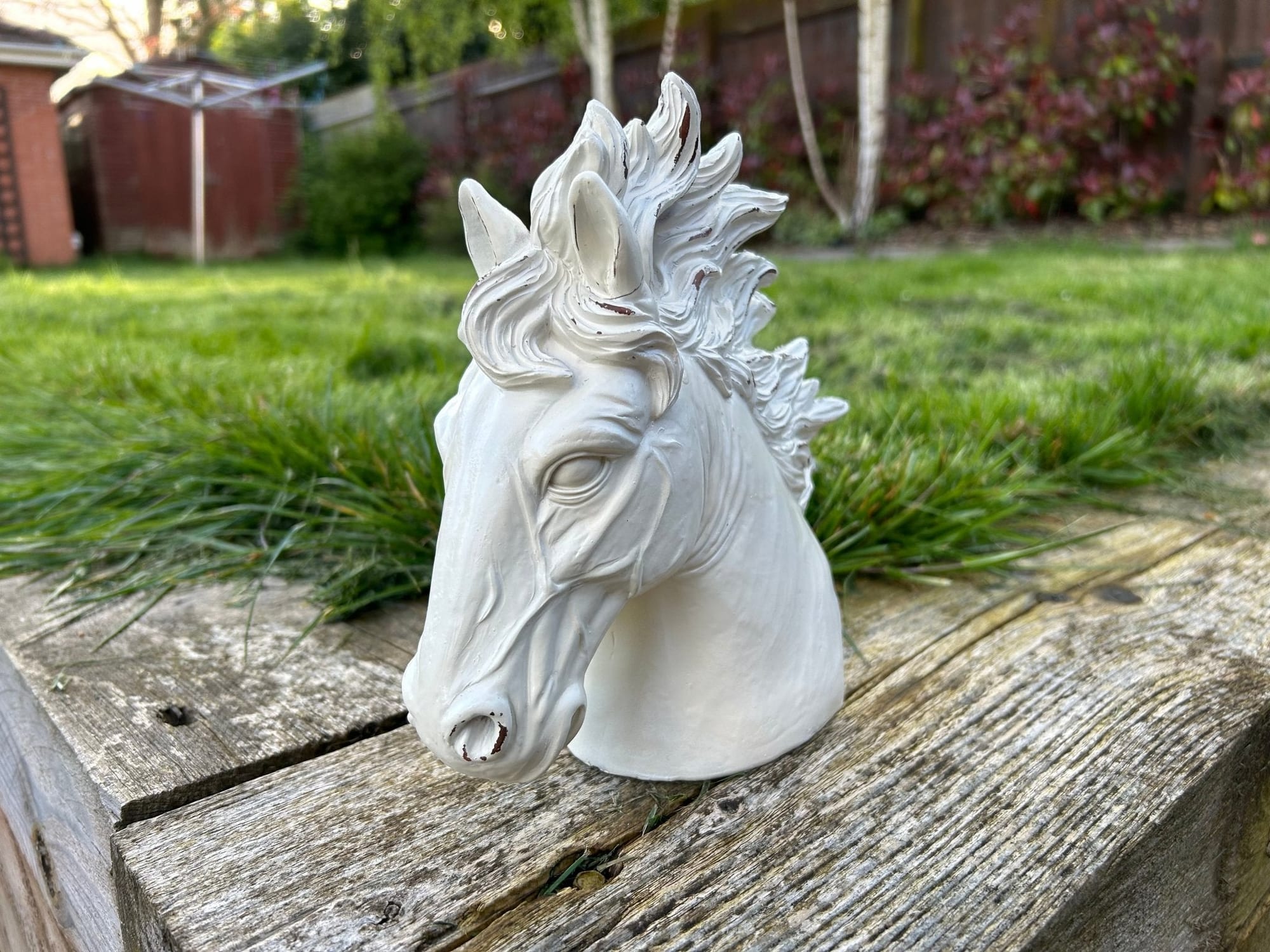 Stallion Heads - Backyard Bliss