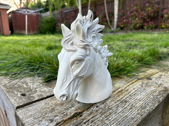 Stallion Heads - Backyard Bliss